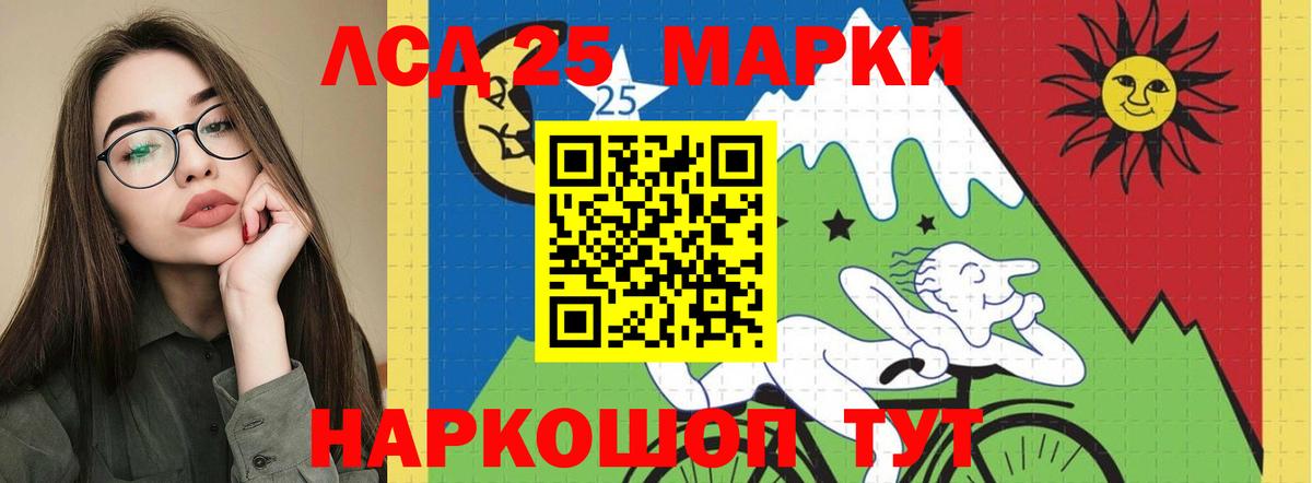 Курчалой  Лсд 25 экстази ecstasy  Лсд 25 экстази ecstasy  Вход с VPN 